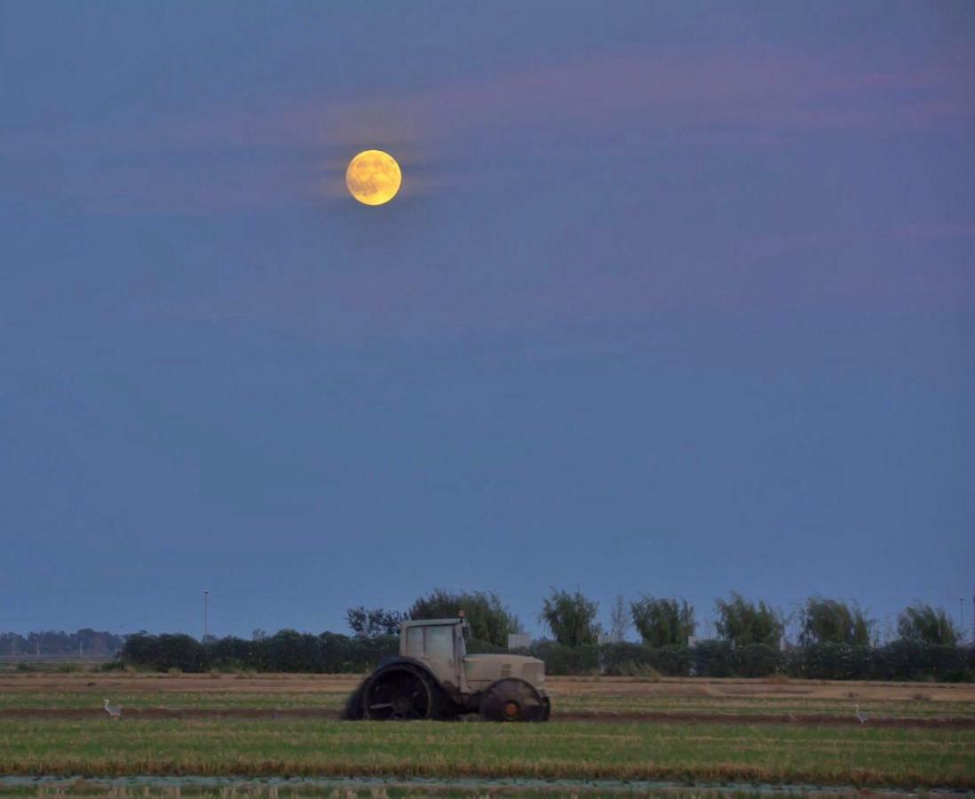 L' Espiga - Casa Rural Deltebre Kültér fotó